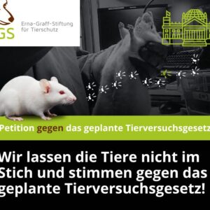 Petition gegen das geplante Tierversuchsgesetz
