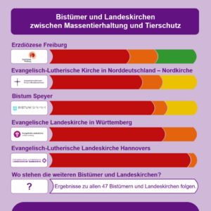 Bistümer und Landeskirchen zwischen Tierproduktion und Tierschutz